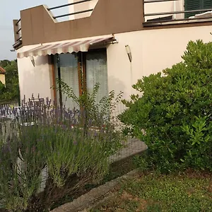 https://apartment-lavinia.hotelinzadar.com
